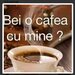 Buna, confirm pe web, hai la o intalnire, masaj,